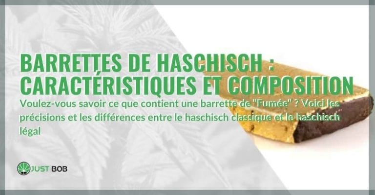Barres à haschisch : caractéristiques et composition