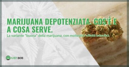 La Cannabis CBD a cosa serve