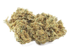 do si dos cbd gras 