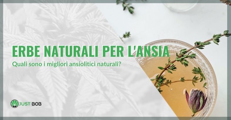 Erbe naturali contro l'ansia: quali sono i migliori ansiolitici naturali?