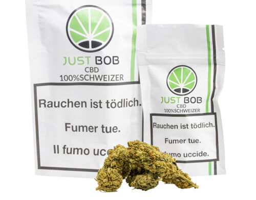 fiori di canapa light di mango haze e bustine justbob