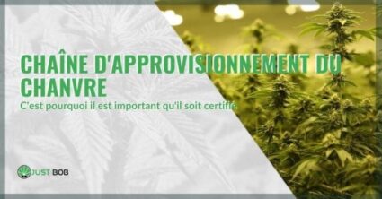 Chaîne d’approvisionnement du chanvre: pourquoi il est important qu’elle soit certifiée