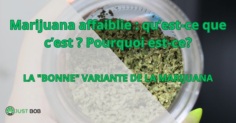Marijuana affaiblie : qu’est-ce que c’est ?