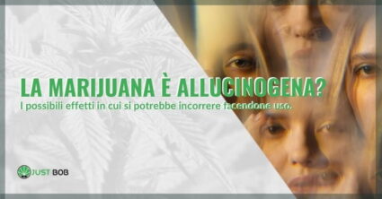 La Marijuana è allucinogena?