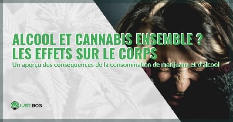 Alcool et cannabis ensemble? Les effets sur le corps