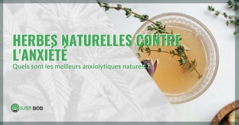 meilleurs-anxiolytiques-naturels-qui-sont