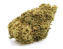 63562 orange bud cannabis light