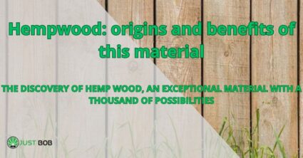 Hempwood: origins and benefits of this material