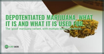 Depotentiated marijuana. What it is and what it is used for