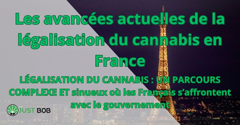 Les avancées actuelles de la légalisation du cannabis en France