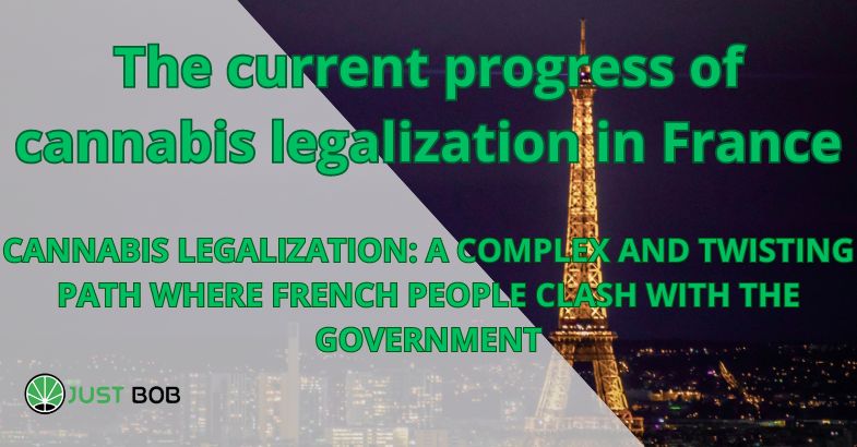 The current progress of cannabis legalization in France