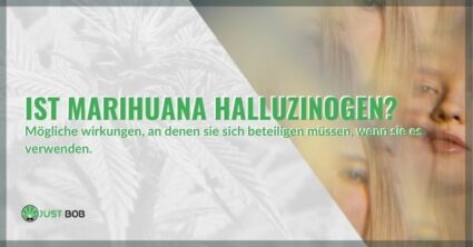 Ist Marihuana halluzinogen?