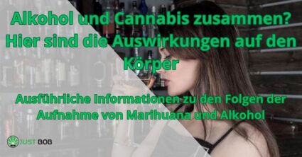 Alkohol und Cannabis zusammen? Hier sind die Auswirkungen auf den Körper