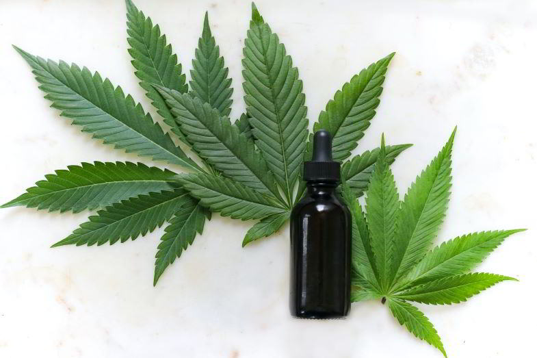 L’utilisation du cannabis à des fins médicinales