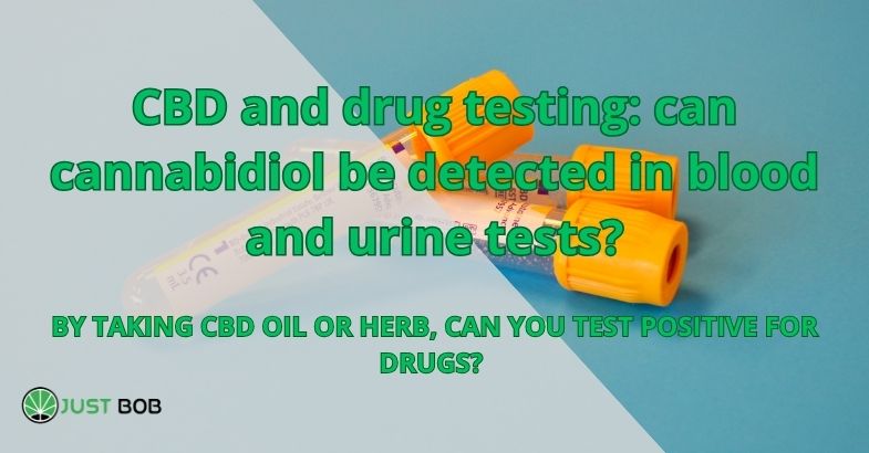CBD and drug testing: can cannabidiol be detected in blood and urine tests?