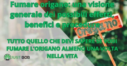 Fumare origano: una visione generale dei possibili effetti, benefici e procedure