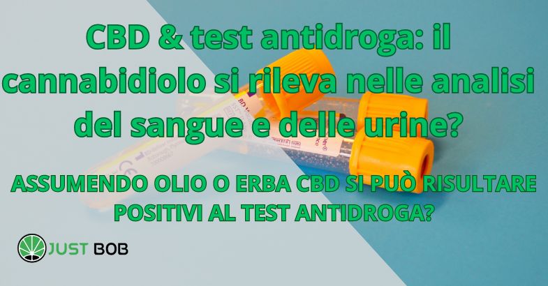 CBD & test antidroga: il cannabidiolo si rileva nelle analisi del sangue e delle urine?