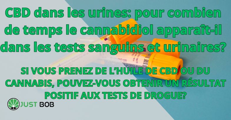 CBD dans les urines: pour combien de temps le cannabidiol apparaît-il dans les tests sanguins et urinaires?