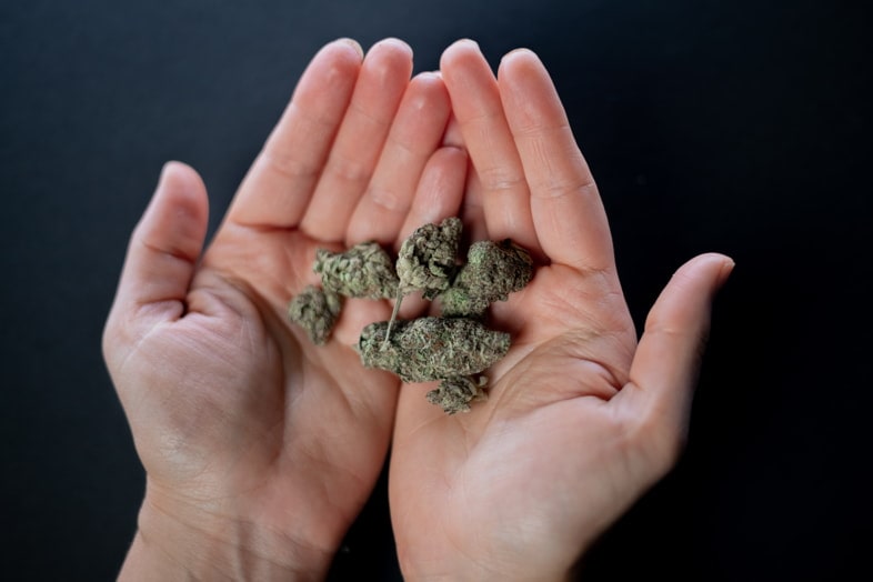 Cosa è la -Cannabis CBD?