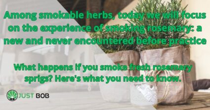 the experience of smoking rosemary