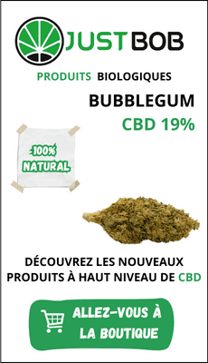 Paquet-de-Fleur-CBD-Bubblegum-à-19%