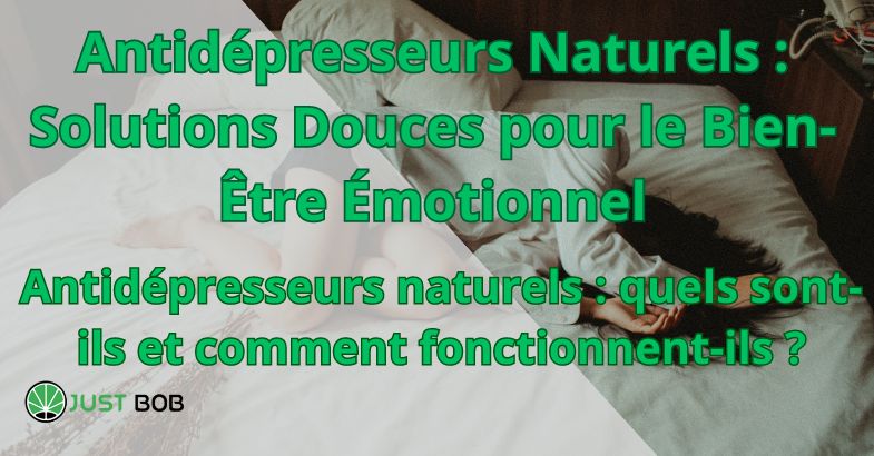 Antidépresseurs Naturels : Solutions Douces pour le Bien-Être Émotionnel