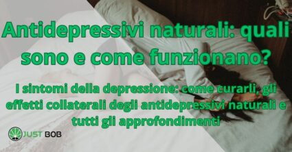 Antidepressivi naturali: cosa sei e come lavori?