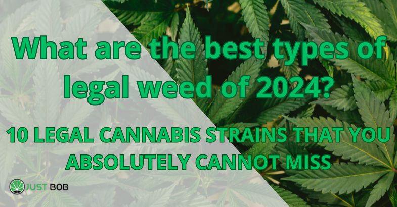 What are the best types of legal weed of 2024?