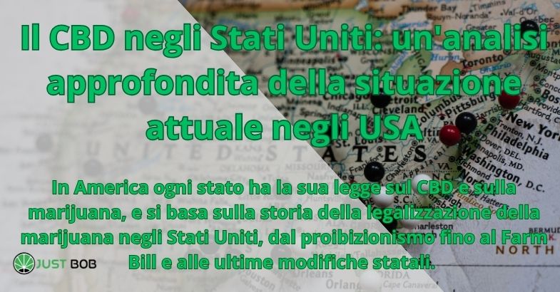 Il CBD negli Stati Uniti: un’analisi approfondita