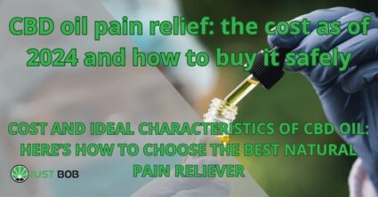 CBD oil pain relief: the cost as of 2024