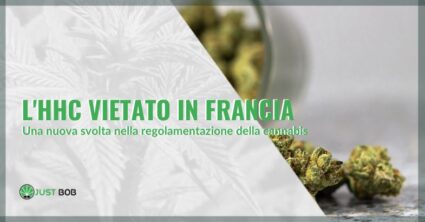 L’HHC vietato in Francia: una nuova svolta nella regolamentazione della cannabis