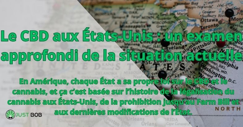 Le CBD aux États-Unis : un examen approfondi de la situation actuelle