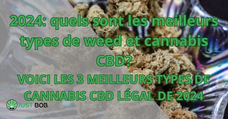 2024: quels sont les meilleurs types de weed et cannabis CBD?