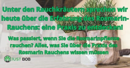 Unter den Rauchkräutern sprechen wir heute über die Erfahrung des Rosmarin-Rauchens: eine Praxis zu entdecken!