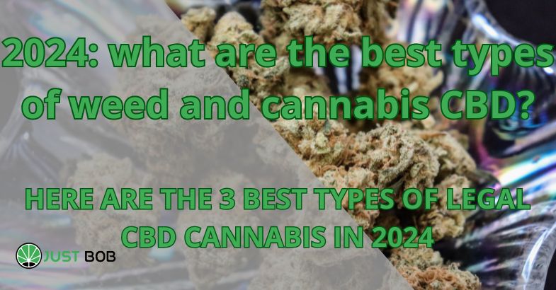 2024: what are the best types of weed and cannabis CBD?