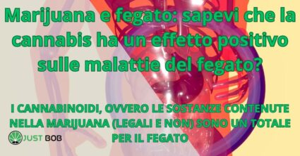 Marijuana e fegato: un effetto positivo