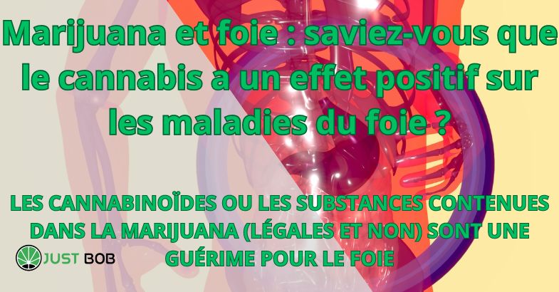 Cannabis et foie