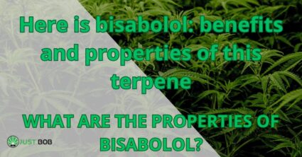 Here is bisabolol: benefits and properties of this terpene