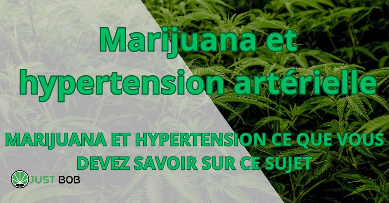 Marihuana et hypertension