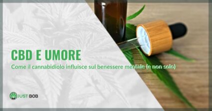 CBD e umore: come il cannabidiolo influisce sul benessere mentale