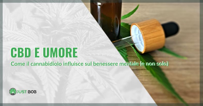 CBD e umore: come il cannabidiolo influisce sul benessere mentale