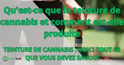 Qu'est-ce que la teinture de cannabis et comment est-elle produite