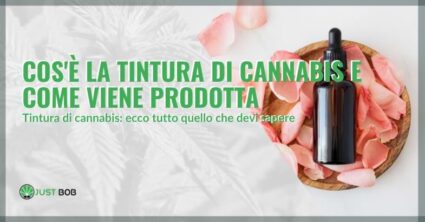 Cos’è la tintura di cannabis e come viene prodotta