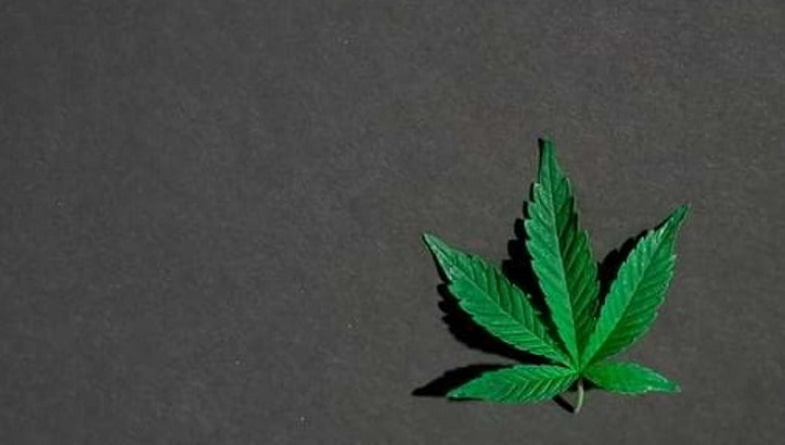 Qual è il significato della ganja oggi? Riferimenti moderni