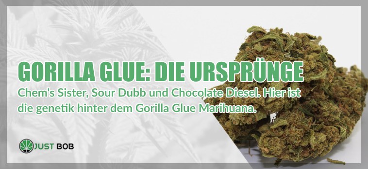 Gorilla Glue: Die Ursprünge