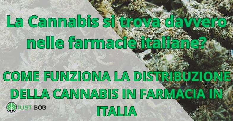 La Cannabis si trova davvero nelle farmacie italiane?