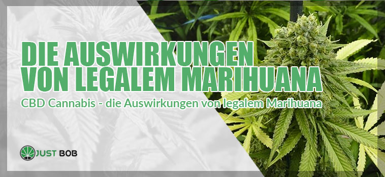 CBD Cannabis – die Auswirkungen von legalem Marihuana