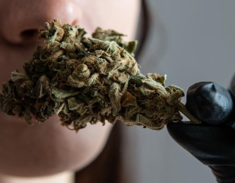 Étude sur la marijuana et l'hypertension artérielle