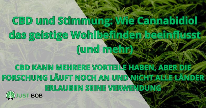 CBD und Stimmung: Wie Cannabidiol das geistige Wohlbefinden beeinflusst (und mehr)