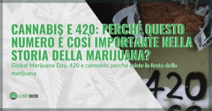 Cannabis e 420